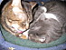 View full size picture