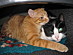 View full size picture
