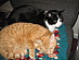 View full size picture