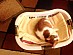 View full size picture