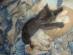 View full size picture