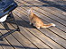 View full size picture