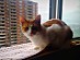 View full size picture