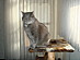 View full size picture