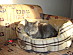 View full size picture