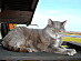 View full size picture