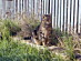 View full size picture