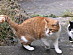 View full size picture