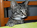 View full size picture