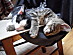 View full size picture