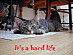View full size picture