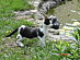 View full size picture