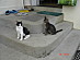 View full size picture