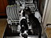 View full size picture