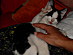 View full size picture