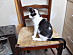 View full size picture