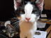 View full size picture