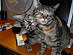 View full size picture