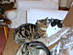 View full size picture