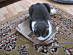 View full size picture