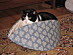 View full size picture