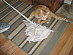 View full size picture