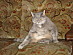 View full size picture