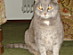 View full size picture