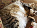 View full size picture
