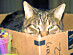 View full size picture
