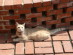 View full size picture