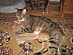View full size picture