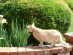View full size picture