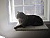 View full size picture
