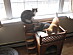 View full size picture