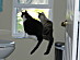 View full size picture