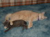 View full size picture