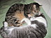 View full size picture