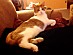 View full size picture