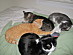 View full size picture