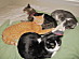 View full size picture
