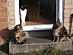 View full size picture