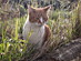 View full size picture