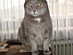 View full size picture