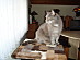 View full size picture