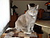 View full size picture