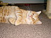 View full size picture