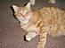View full size picture