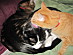 View full size picture