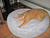 View full size picture